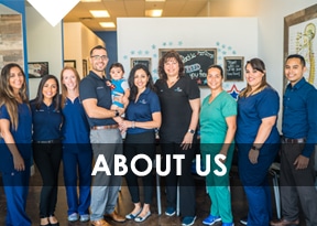 Chiropractor About Us Meet The Team