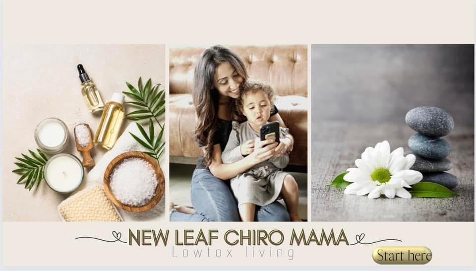 Chiropractic Miami FL New Leaf Mama BLog Header